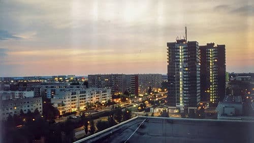 Hallesche Kometen Bild 3