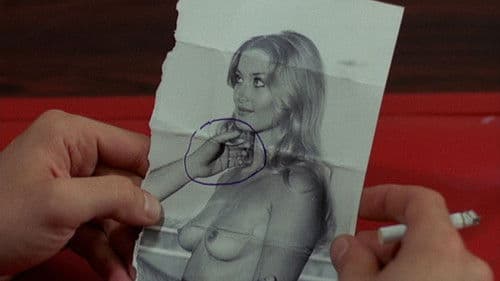 Der schwarze Leib der Tarantel Bild 1