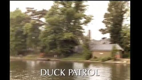 Duck Patrol Bild 1