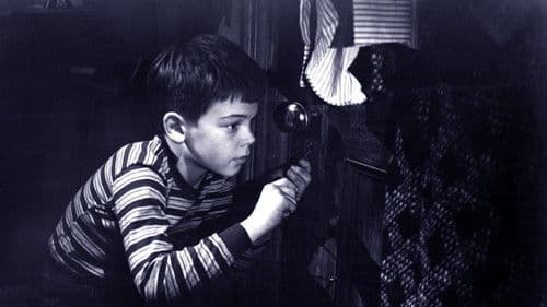 Das unheimliche Fenster Bild 4