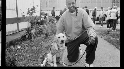 Untitled Simon Rex Short Film Bild 2