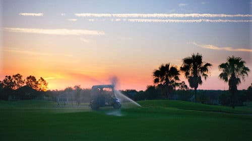 Some Kind of Heaven Bild 6