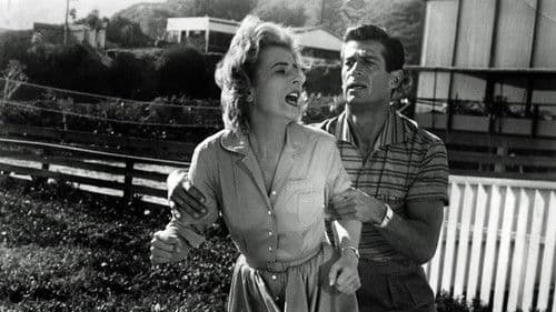 Das Herz ist stärker Bild 1