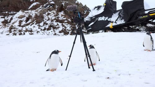 Антарктида Bild 7