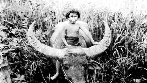 Chang: A Drama of the Wilderness Bild 1