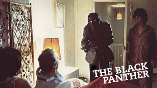 The Black Panther Bild 5