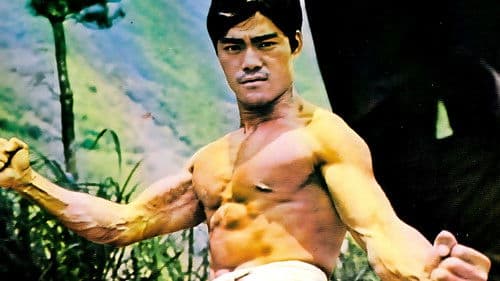 Die Rache des Karatetigers Bild 1