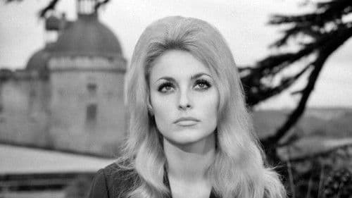 Die schwarze 13 Bild 8