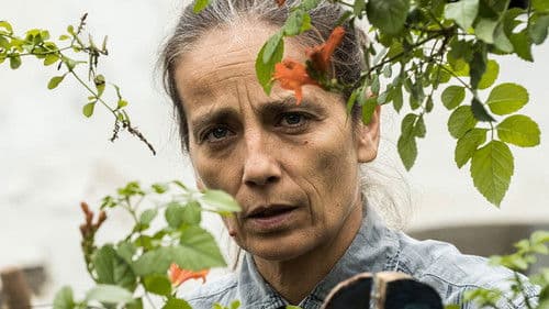 Der Eindringling Bild 1