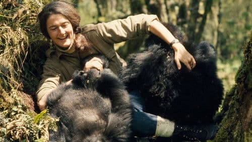 Dian Fossey: Geheimnisse im Nebel Bild 4