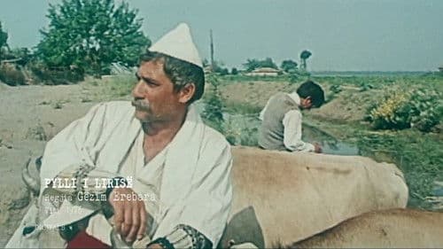 Pylli i lirisë Bild 1