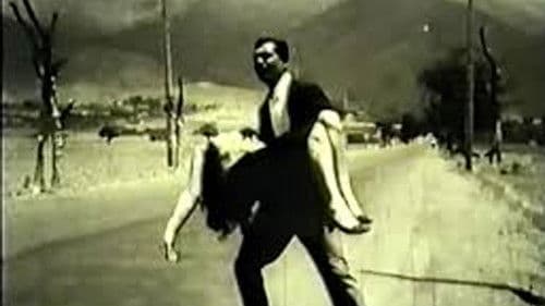 ده سایه خطرناک Bild 1