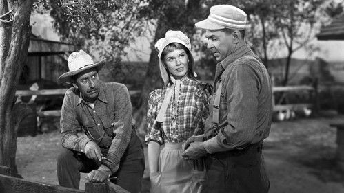 The Winning Team Bild 2