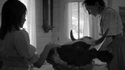 The Eyes of My Mother Bild 4