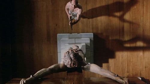 Quiet Earth - Das letzte Experiment Bild 8