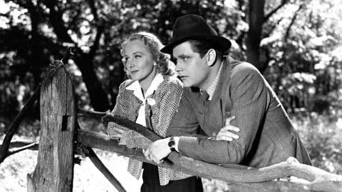 Nat-ekspressen (P. 903) Bild 3