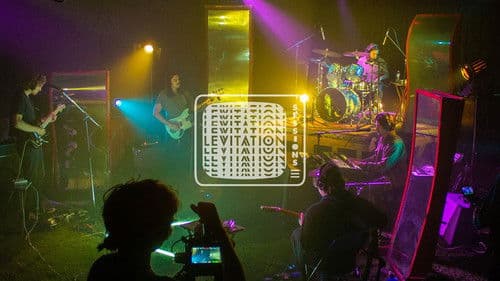 Post Animal - Levitation Sessions Bild 1