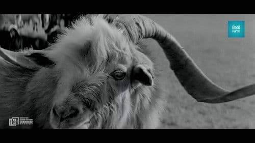 Моторын дуу Bild 2