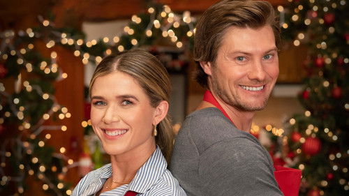 Cape Holly Christmas Bild 1