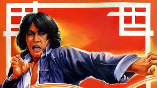 Der Rikschamann Bild 6