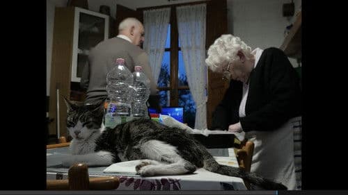 Into Hibernation Bild 2