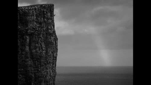 Grateful Grapefruit Bild 3