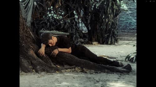 Também Se Chamavam Sonhos Bild 3