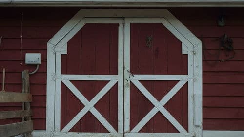 Long Term Delivery Bild 2