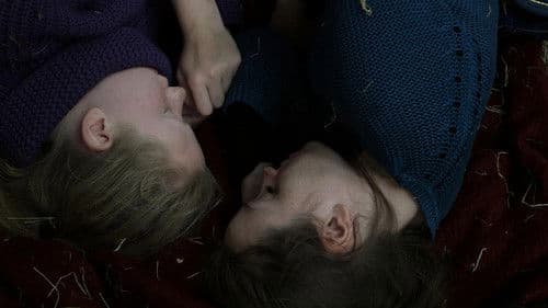 Von Mädchen und Pferden Bild 1