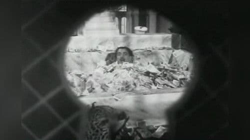 Nadando em Dinheiro Bild 2