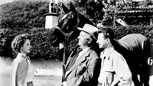 Francis Covers the Big Town Bild 1