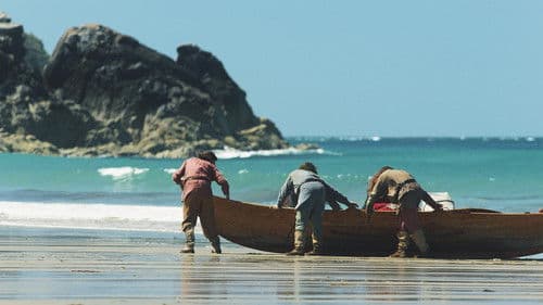 Aufstieg der Wikinger Bild 2