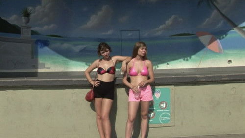 The Wolf Knife Bild 4