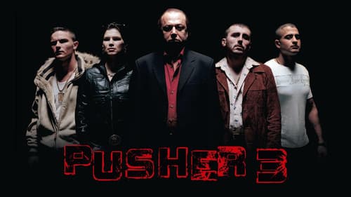 Pusher III Bild 8
