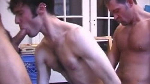 Cruisemaster Road Trip 2 Bild 1