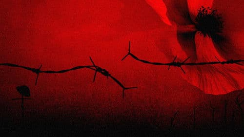 The Somme 1916: From Both Sides of the Wire Bild 1