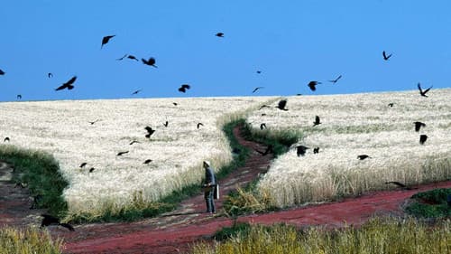 Akira Kurosawas Träume Bild 4