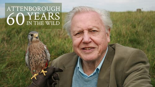 Attenborough: 60 Years in the Wild Bild 8