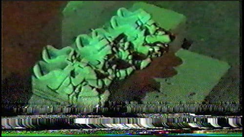 Trash Humpers Bild 8