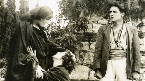 L'appel du sang Bild 1