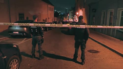 The Rise and Fall of Terrorgram Bild 1