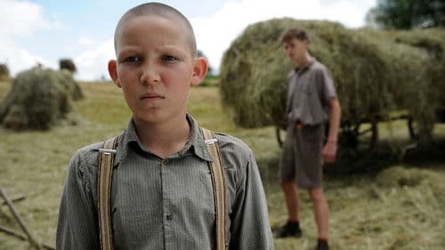 Nebel im August Bild 7