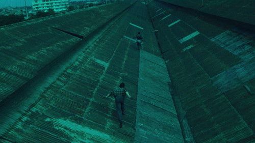 Days of Being Wild Bild 4