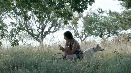 Trois oiseaux bleus Bild 4