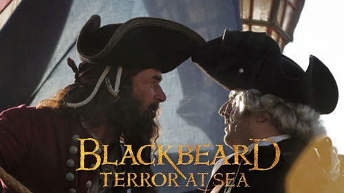 Blackbeard - Der wahre Fluch der Karibik Bild 3