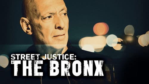 Bronx Detective - Die Fälle des Ralph Friedman Bild 3
