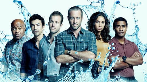 Hawaii Five-0 Bild 5