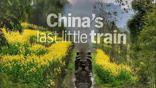 China's Last Little Train Bild 1