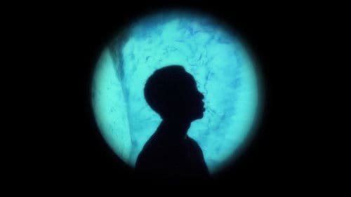 The Olympean Collection Bild 1