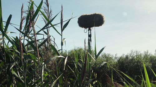 In a Silent Way Bild 1